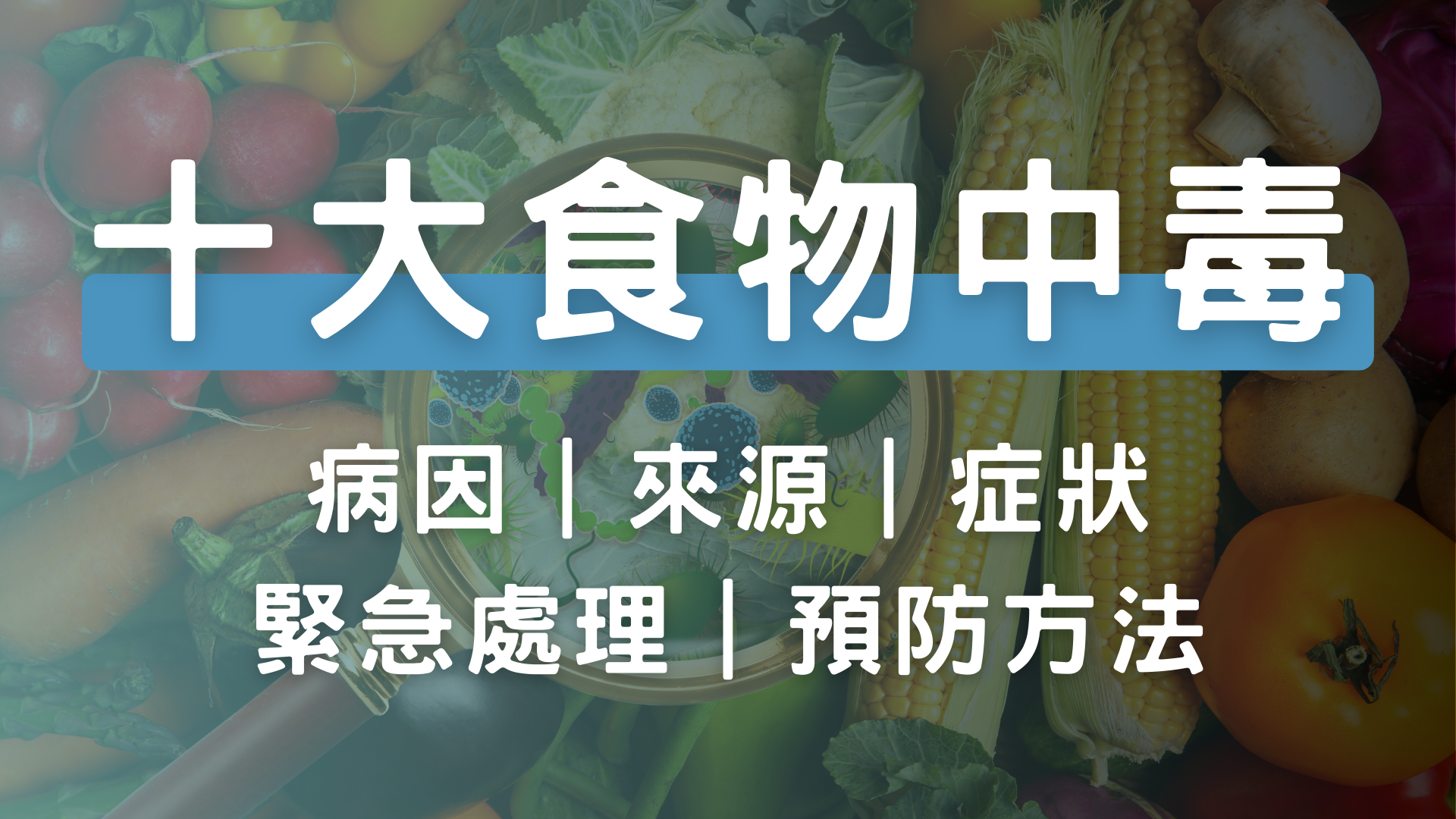 最新!營養師分享近10年:常見食物中毒的來源、症狀、緊急處理及預防詳解! | 阿潛營養師