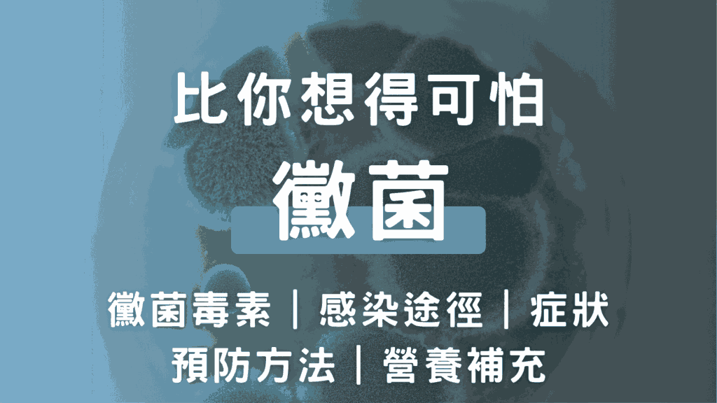 2025最新黴菌全解析：黴菌毒素、感染症狀、預防、營養補充一次看懂！