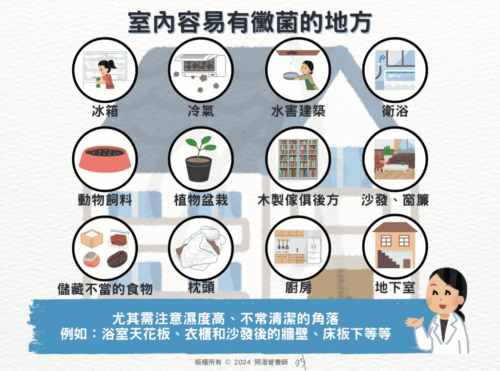室內容易有黴菌的地方
