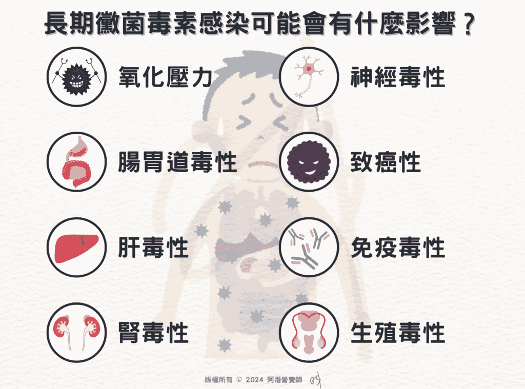 長期黴菌毒素感染可能會有什麼影響？