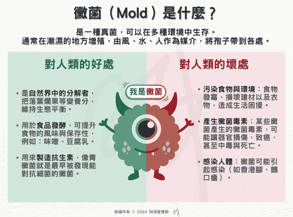 黴菌（Mold）是什麼？ 1