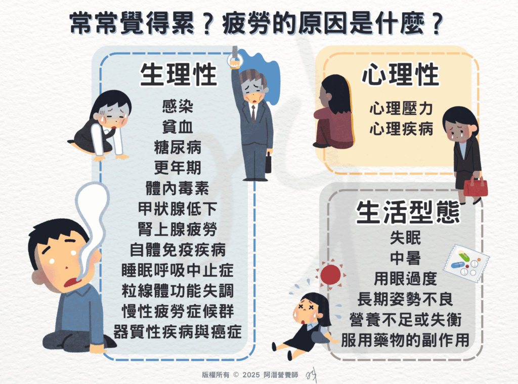 常常覺得累？疲勞的原因是什麼？