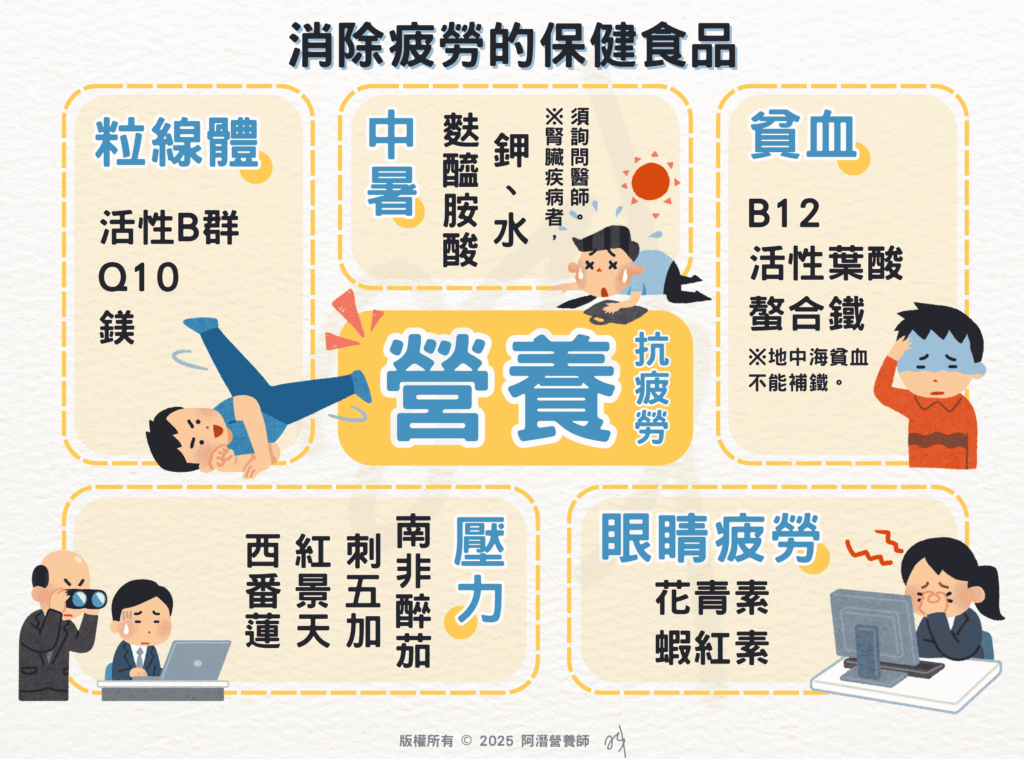 消除疲勞的保健食品